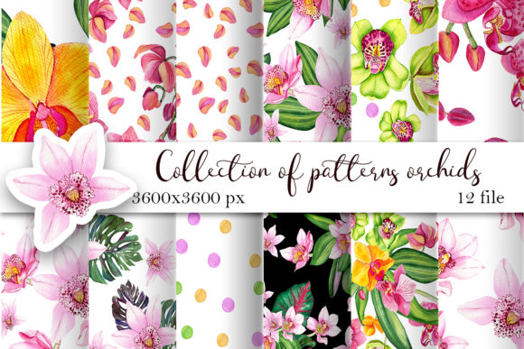 Download Orchid Watercolor Digital Paper - Premium Resources
